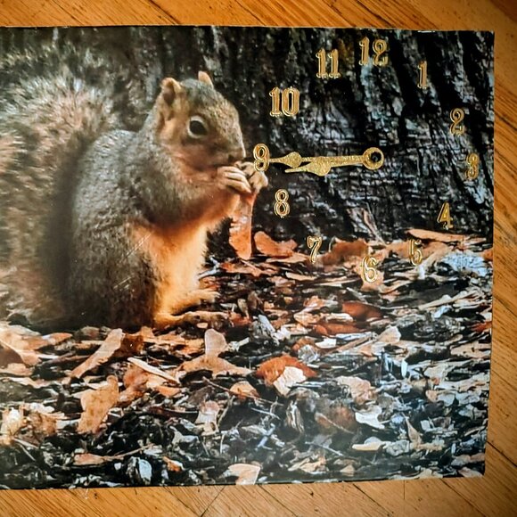 squirrel clock - Picture 3 of 3